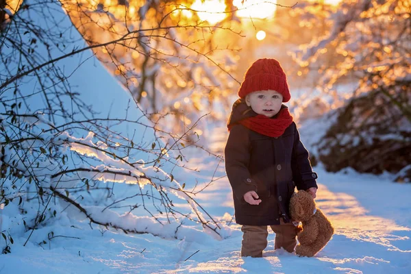 Bebé Jugando Con Peluche Nieve Invierno Pequeño Niño Abrigo Azul — Foto de Stock