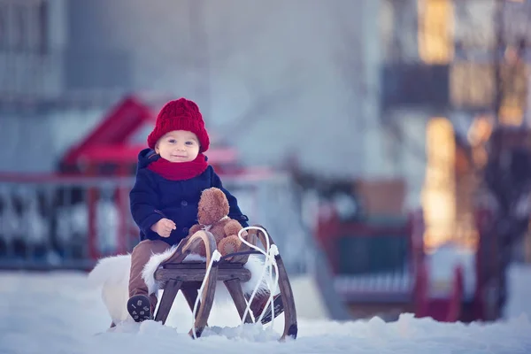 속에서 테디와 코트를 썰매를 인형을 공원에서 야외에서 아기가 있습니다 눈덮인 — 스톡 사진