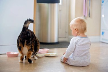 Sevimli çocuk, mutluluk evde, kedi ile oynarken