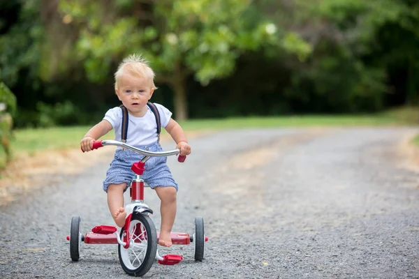 Симпатичный Малыш Играет Трехколесным Велосипедом Заднем Дворе Летом — стоковое фото
