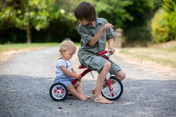 Menino Bonito Seu Irmão Mais Velho Brincando Com Triciclo Quintal — Fotografia de Stock