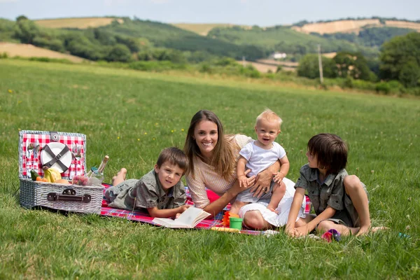 Bonne Famille Pique Nique Dans Campagne Vue Aérienne Devonshire Été — Photo