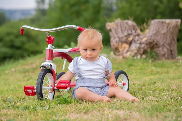 かわいい幼児子供 子供乗り自転車の裏庭で三輪車で遊んで — ストック写真