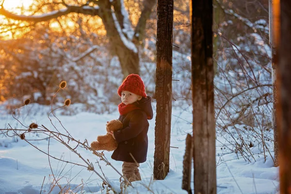 Bebek Kışın Karda Teddy Ile Oynuyor Mavi Ceketli Küçük Bir — Stok fotoğraf
