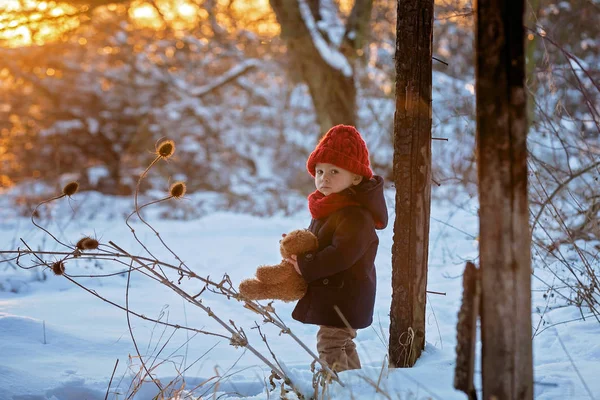 Bebek Kışın Karda Teddy Ile Oynuyor Mavi Ceketli Küçük Bir — Stok fotoğraf
