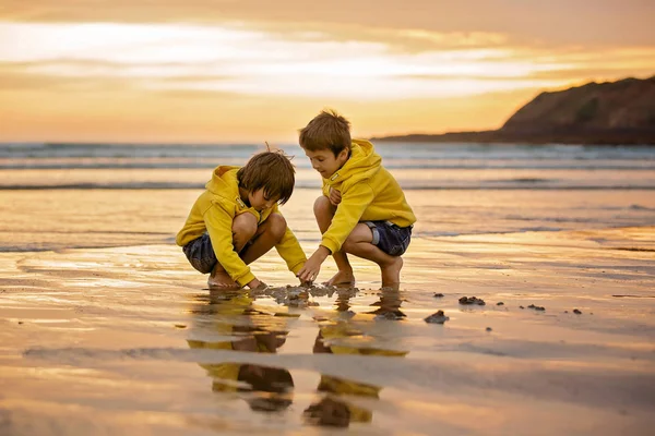 Deux Beaux Enfants Garçons Frères Jouant Sur Plage Avec Sable — Photo