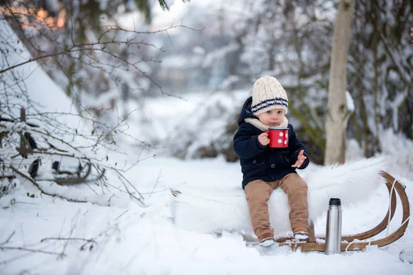 Dolci Fratelli Bambini Che Fanno Festa Invernale Nella Foresta Innevata — Foto Stock