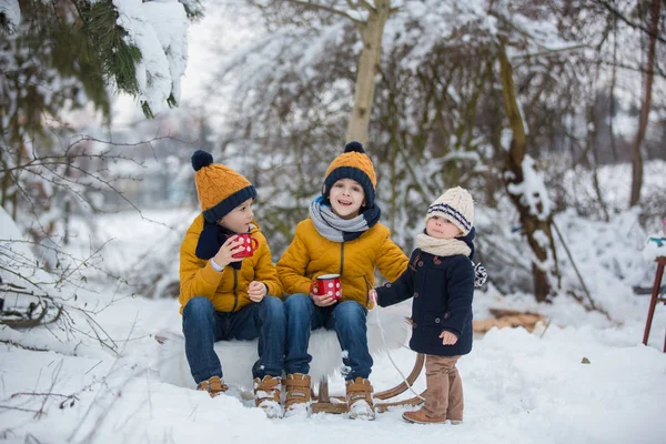 Tatlı Kardeşlerim Çocuklar Karlı Ormanda Kış Partisi Veriyor Çocuklar Doğada — Stok fotoğraf
