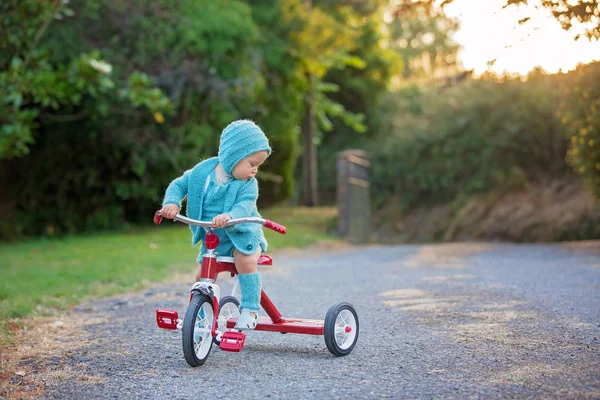 Söta Småbarn Barn Pojke Leker Med Trehjuling Bakgård Kid Rider — Stockfoto