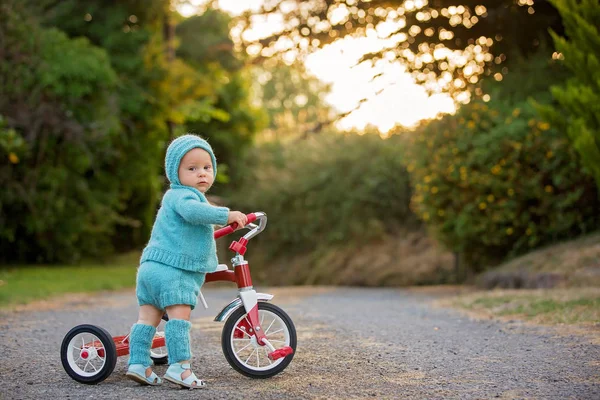 Criança Bonito Menino Brincando Com Triciclo Quintal Criança Andar Bicicleta — Fotografia de Stock