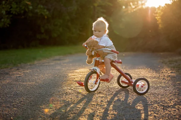 裏庭の三輪車 日没に自転車に乗る子供と遊ぶ少年 かわいい幼児子供 — ストック写真