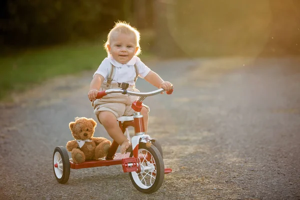 裏庭の三輪車 日没に自転車に乗る子供と遊ぶ少年 かわいい幼児子供 — ストック写真