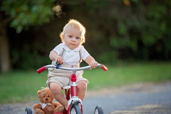 裏庭の三輪車 日没に自転車に乗る子供と遊ぶ少年 かわいい幼児子供 — ストック写真