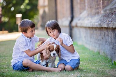 Beaugtiful okul öncesi çocuklar, par tatlı köpek ile oynuyor