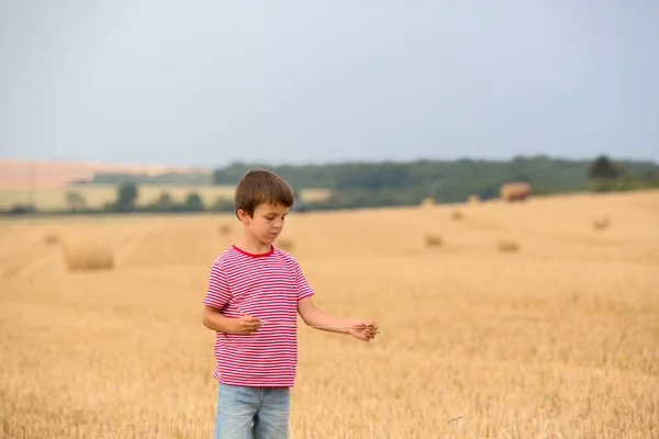 Carino bambino in età prescolare, seduto in fretta sul campo in una giornata nuvolosa — Foto Stock