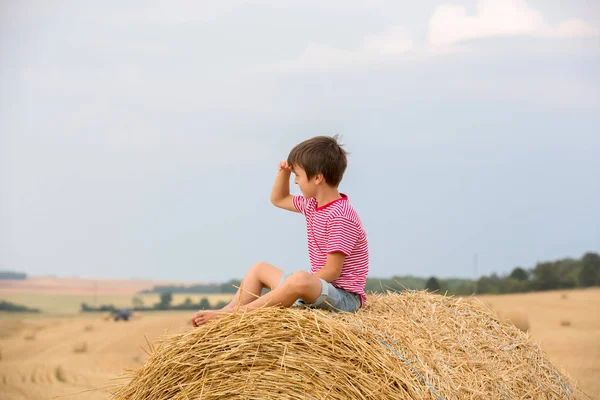 Menino pré-escolar bonito, sentado em hastack no campo em um dia nublado — Fotografia de Stock