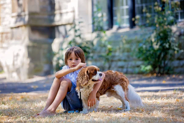 Hermosos niños preescolares, jugando con un perro dulce a la par —  Fotos de Stock