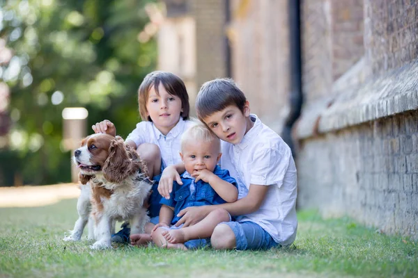 Hermosos niños preescolares, jugando con un perro dulce a la par — Foto de Stock