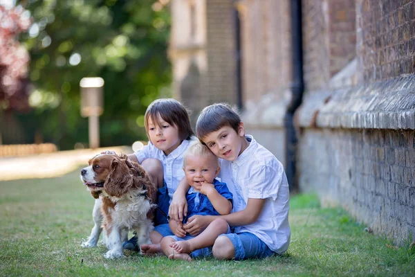 Beaugtiful okul öncesi çocuklar, par tatlı köpek ile oynuyor — Stok fotoğraf