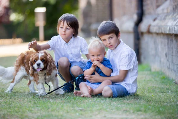 Wunderschöne Vorschulkinder, die mit süßem Hund im Par spielen — Stockfoto