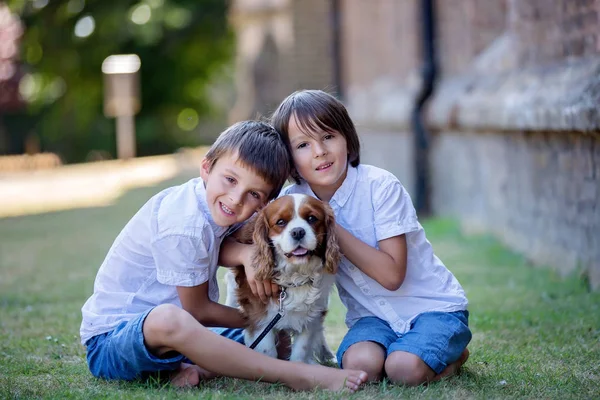 Beaugtiful förskole barn, leka med söt hund i par — Stockfoto