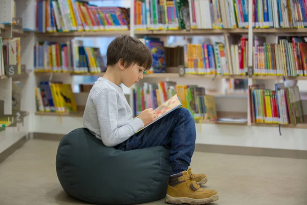 Niños inteligentes, hermanos varones, educándose en una biblioteca —  Fotos de Stock