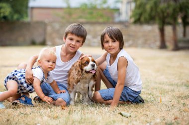 Beaugtiful okul öncesi çocuklar, par tatlı köpek ile oynuyor