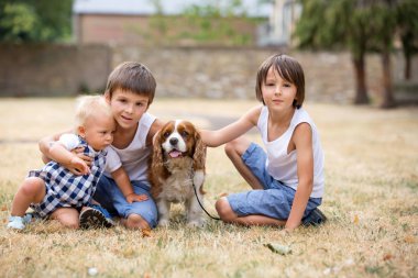 Beaugtiful okul öncesi çocuklar, par tatlı köpek ile oynuyor