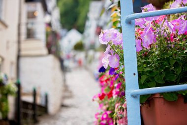 Clovelly sokaklarında güzel görünümü, t güzel eski köy