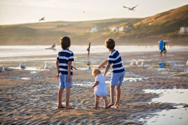 Çocuklar, güzel erkek kardeşler, izlerken ve besleyen martılar 