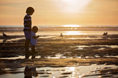 Çocuklar, güzel erkek kardeşler, izlerken ve besleyen martılar 