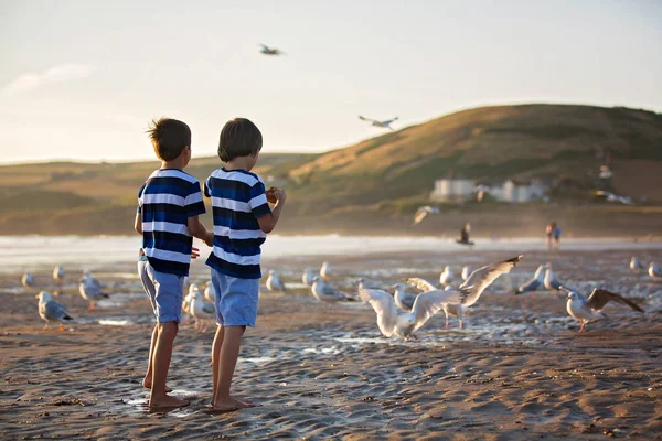 Niños, hermosos hermanos varones, observando y alimentando gaviotas — Foto de Stock