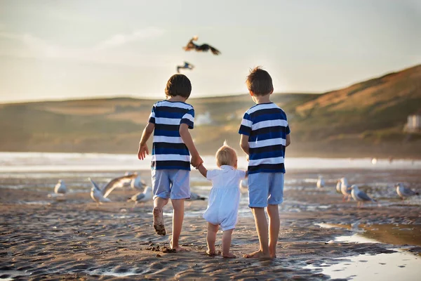 Enfants, beaux garçons frères, regarder et nourrir les mouettes — Photo