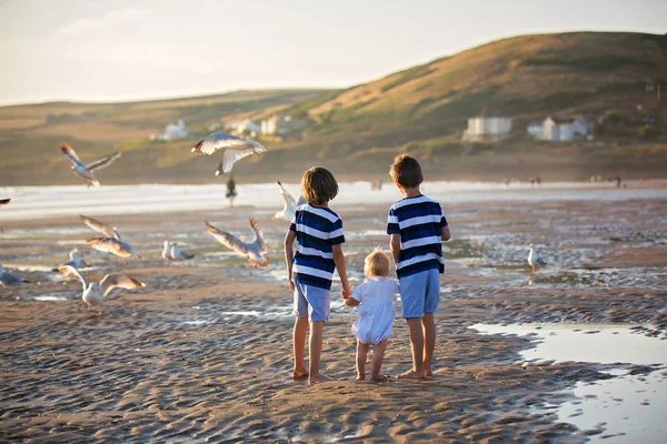 Enfants, beaux garçons frères, regarder et nourrir les mouettes — Photo