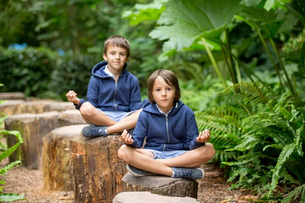 Двоє дітей дошкільного віку, хлопчики-ботарі, сидять на стовбурах дерев — стокове фото