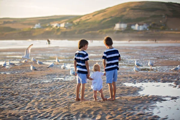 Enfants, beaux garçons frères, regarder et nourrir les mouettes — Photo