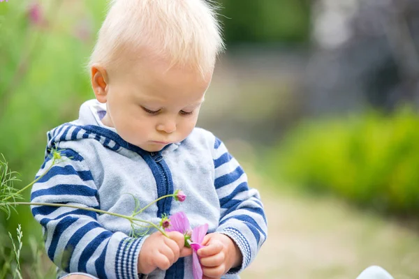 Όμορφο παιδί σε εκπληκτικό κήπο λουλουδιών — Φωτογραφία Αρχείου