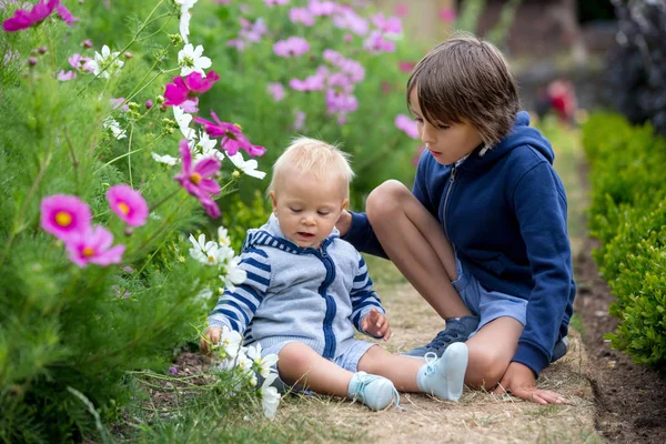 Красива дитина в дивовижному квітковому саду — стокове фото