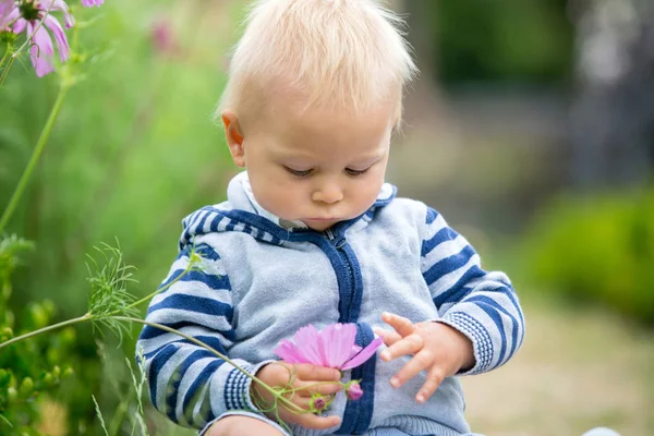 Bel enfant dans un jardin de fleurs incroyable — Photo