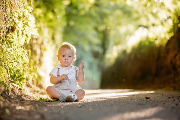 Pequeño niño, niño pequeño, jugando con las hojas en una p soleado — Foto de Stock