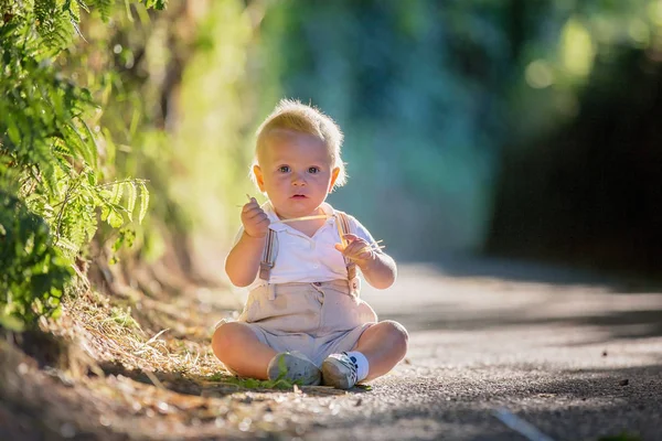 Malý chlapeček, dítě batole, který si hraje s listí na slunném p — Stock fotografie
