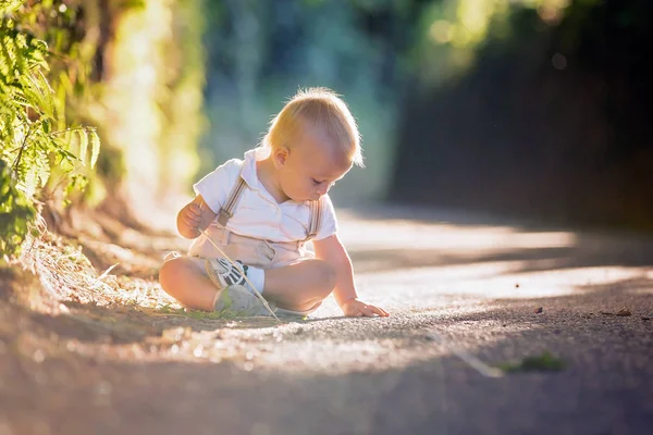 Kleiner Junge, Kleinkind, mit Blättern auf einem sonnigen Platz spielend — Stockfoto