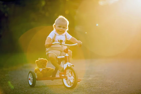 Симпатичный ребенок малыша, мальчик, играть с трехколесным велосипедом на заднем дворе на su — стоковое фото