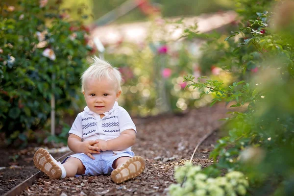 Carino bambino, seduto nel giardino fiorito, godendo il flo — Foto Stock