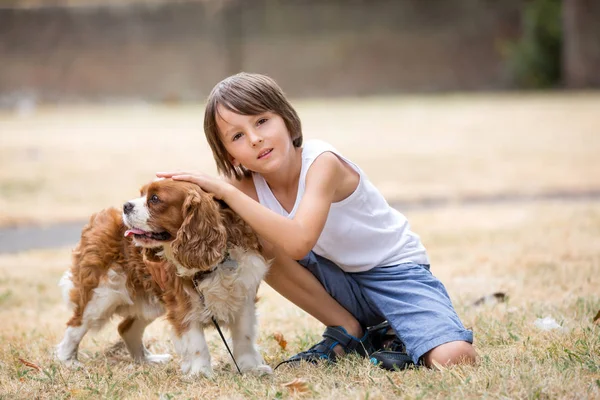 Beaugtiful förskole barn, leka med söt hund i par — Stockfoto