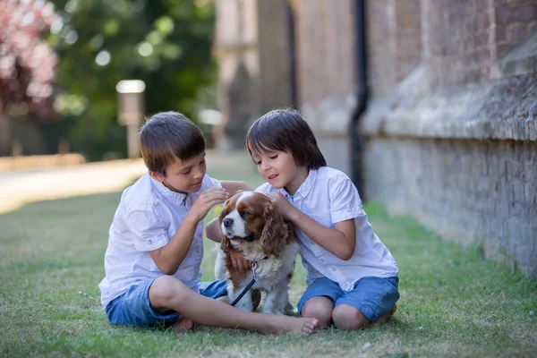 Hermosos niños preescolares, jugando con un perro dulce a la par — Foto de Stock