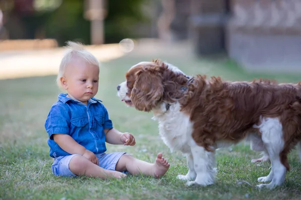 Beaugtiful bambini in età prescolare, giocando con il cane dolce alla pari — Foto Stock
