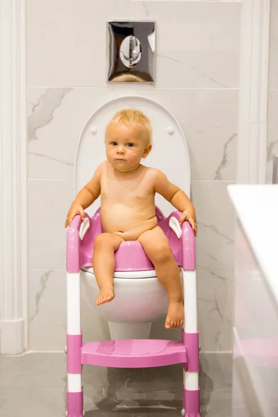 Child sitting on potty. Kid playing with educational toy and Toi