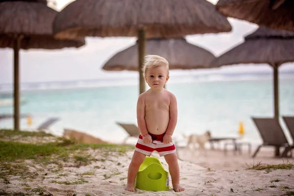 Petit garçon tout-petit, apprentissage de la propreté sur la plage sur une tr — Photo