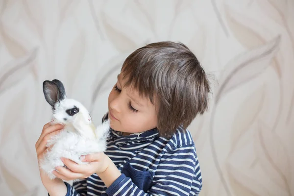Lindo niño preescolar, jugando con conejos —  Fotos de Stock